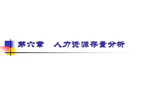人力资源存量分析