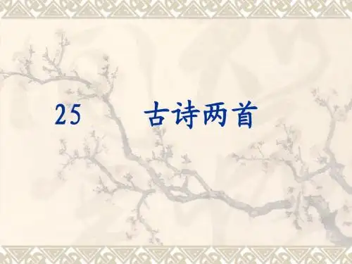 25 古诗两首 江雪