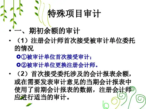 审计报告