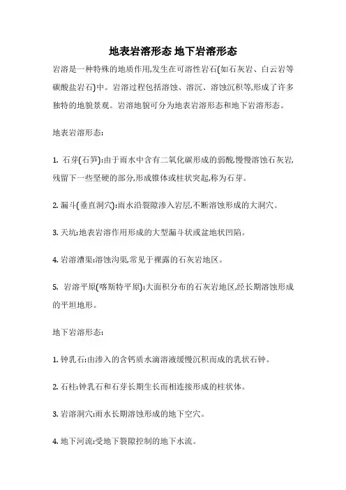 地表岩溶形态 地下岩溶形态