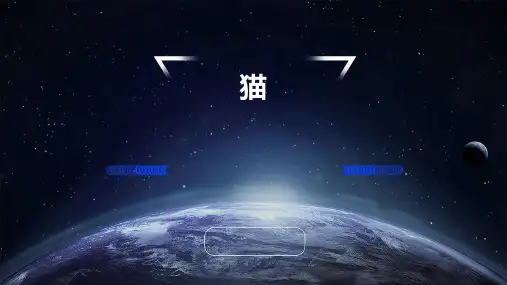 猫ppt课件