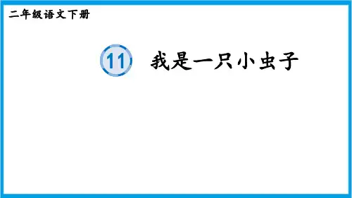 部编版二年级下册语文 11 我是一只小虫子 生字课件