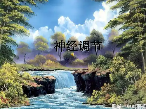 神经调节精品PPT教学课件