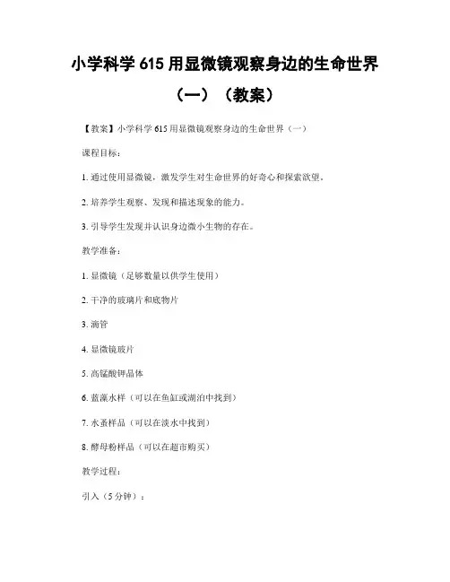 小学科学615用显微镜观察身边的生命世界(一)(教案)