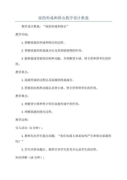尿的形成和排出教学设计教案
