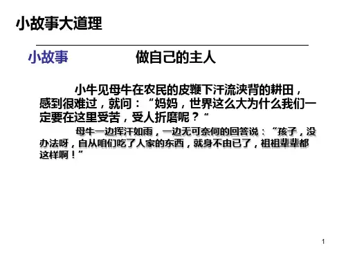 小故事PPT课件