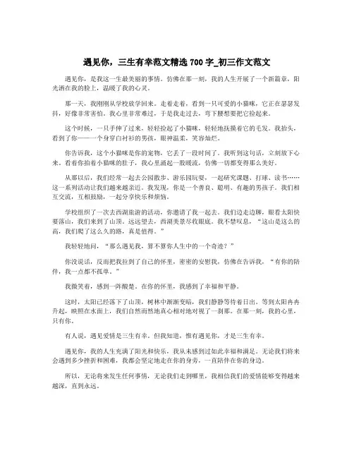 遇见你,三生有幸范文精选700字_初三作文范文