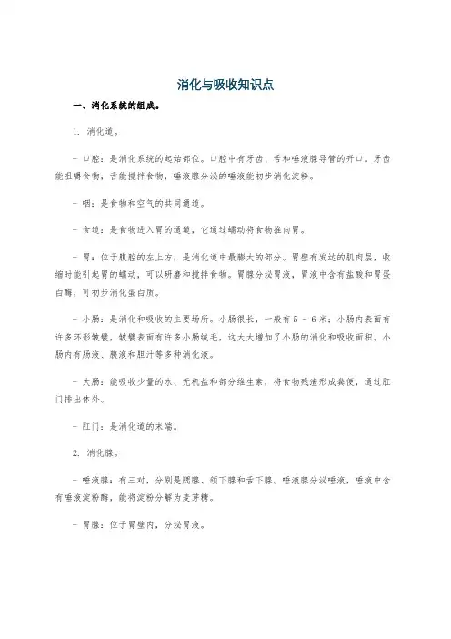 消化与吸收知识点