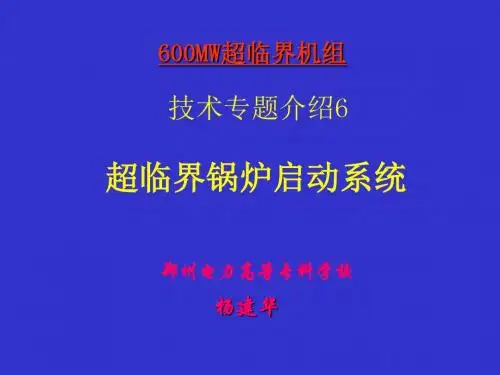 600MW超临界机组技术专题5