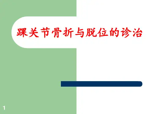 踝关节骨折与脱位的诊治PPT课件