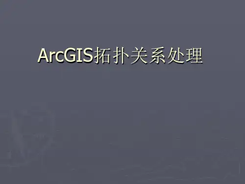 ArcGIS拓扑关系处理