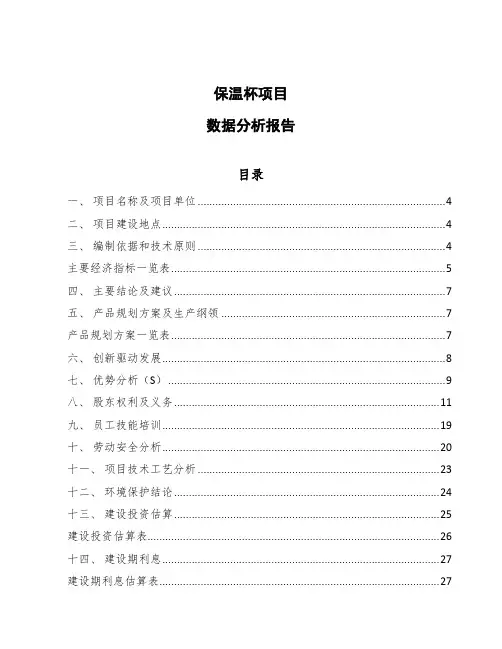 保温杯项目数据分析报告