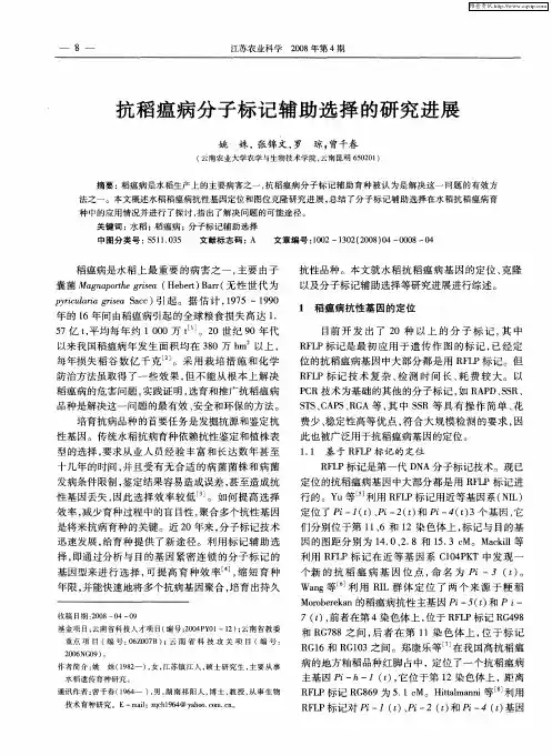 抗稻瘟病分子标记辅助选择的研究进展