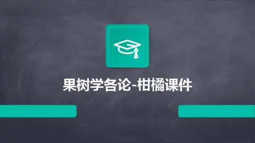 果树学各论柑橘课件