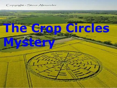 Crop Circles  -Lin