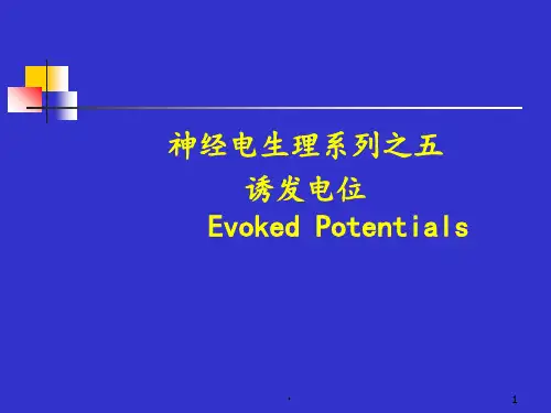 脑干听觉诱发电位PPT课件