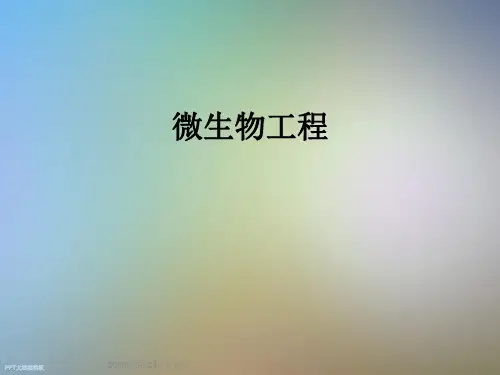 微生物工程