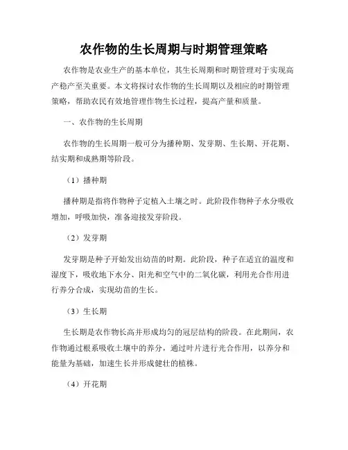 农作物的生长周期与时期管理策略