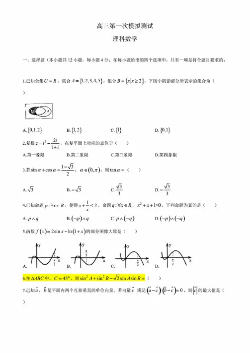福建省厦门双十中学2020届高三模拟考试数学（理）试题含答案