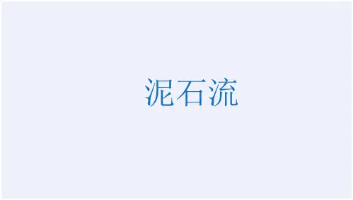 泥石流成因与勘察监测防治[详细]