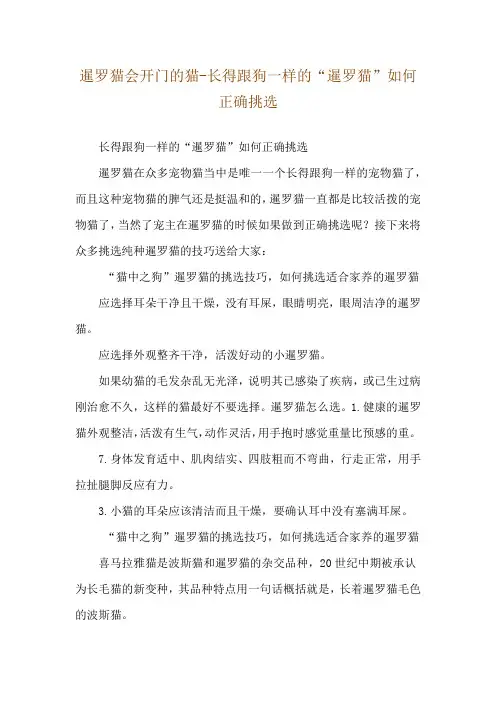 暹罗猫会开门的猫-长得跟狗一样的“暹罗猫”如何正确挑选