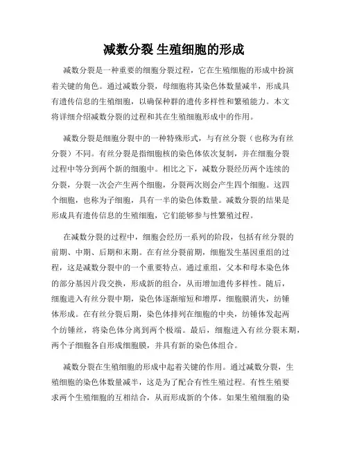减数分裂 生殖细胞的形成