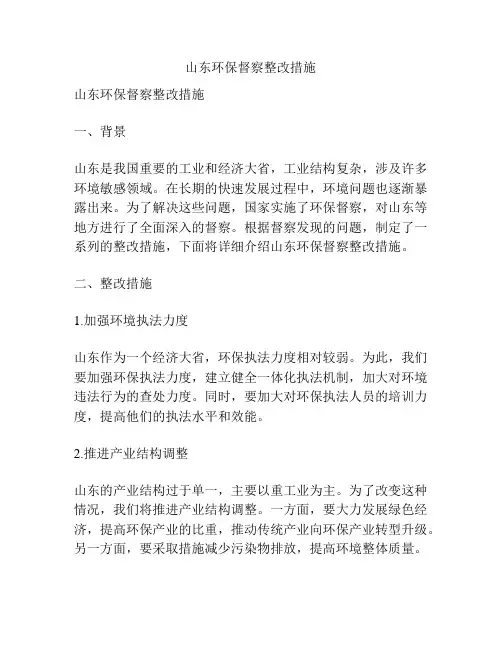 山东环保督察整改措施