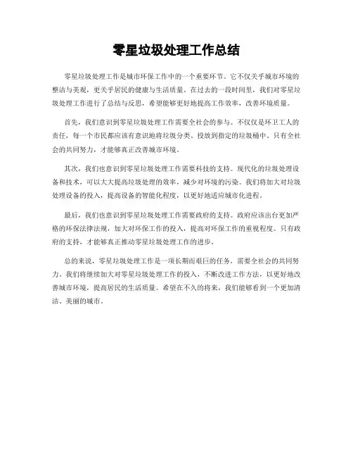 零星垃圾处理工作总结