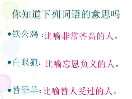 《变色龙》优质课获奖课件.ppt