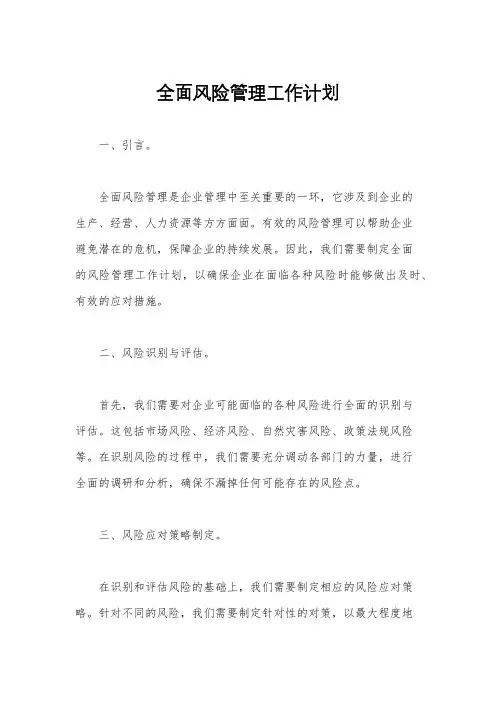 全面风险管理工作计划
