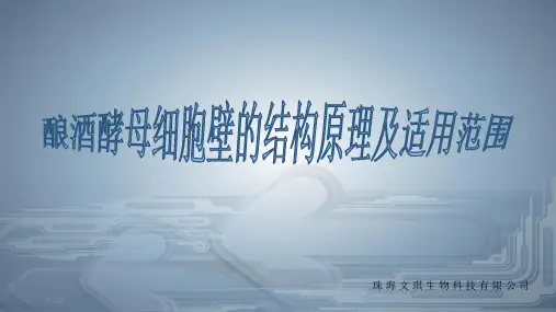 酿酒酵母细胞壁的结构原理及适用范围