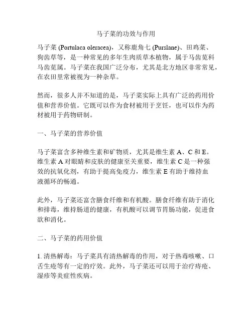 马子菜的功效与作用