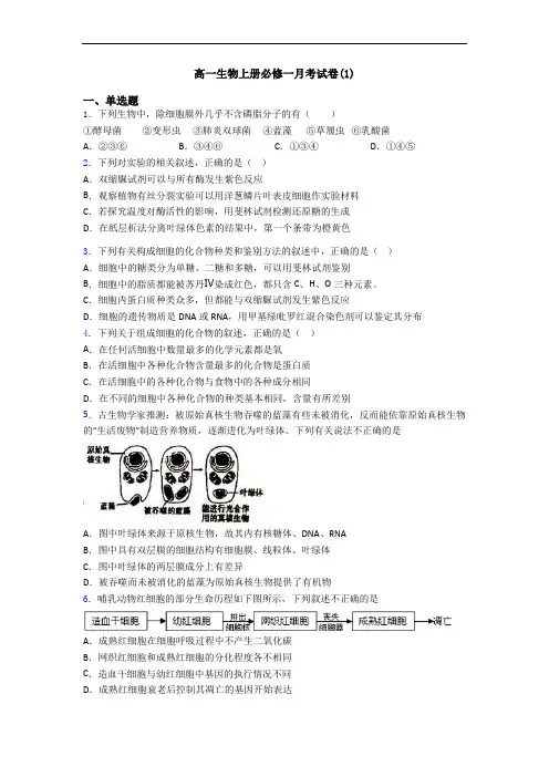 高一生物上册必修一月考试卷(1)