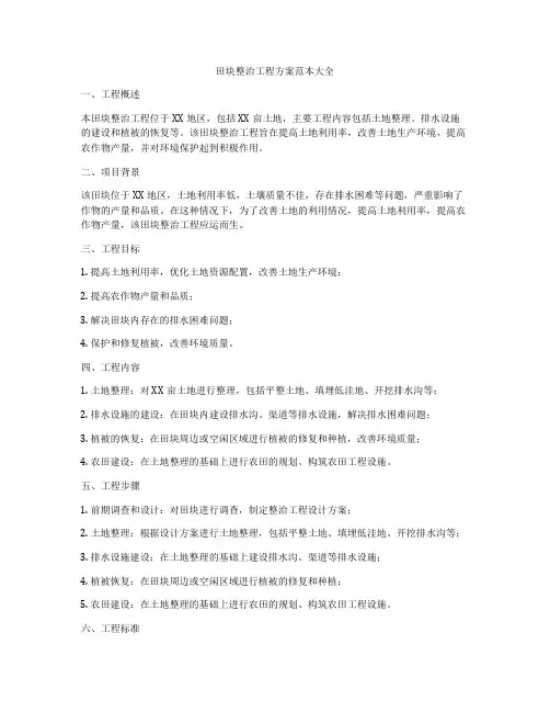 田块整治工程方案范本大全