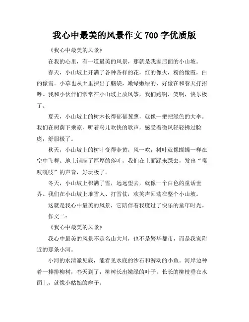 我心中最美的风景作文700字优质版