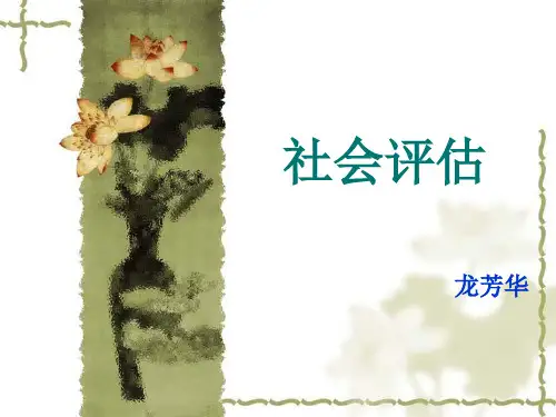 健康评估课件社会评估