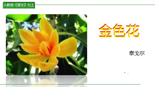 《金色花》PPT优质课件