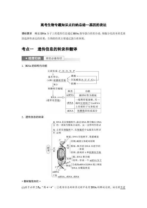 高考生物专题知识点归纳总结—基因的表达