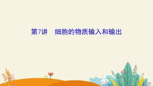 高考生物一轮复习13：细胞的物质输入和输出优质课件
