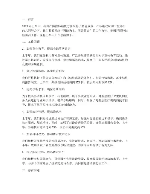 肺结核上半年工作总结