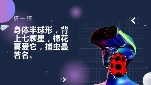 昆虫保护宣传画