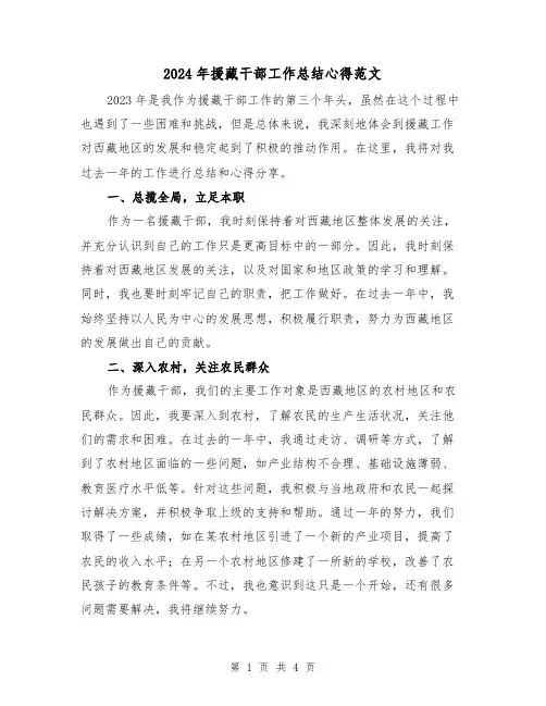 2024年援藏干部工作总结心得范文(2篇)