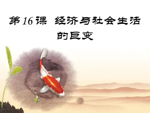 北师大版八年级下册历史：第16课 经济与社会生活的巨变 (2)