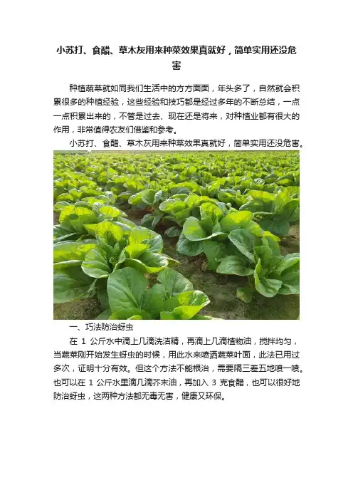 小苏打、食醋、草木灰用来种菜效果真就好，简单实用还没危害