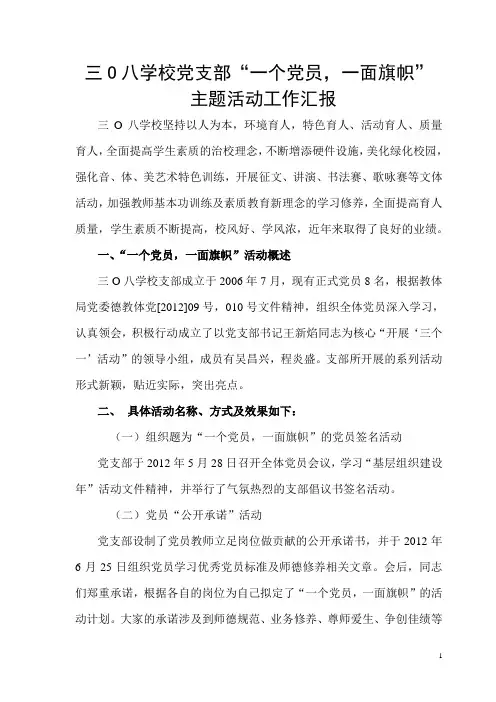 学校党支部“一个党员,一面旗帜”活动工作汇报