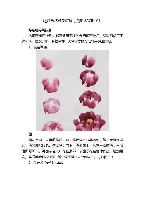 牡丹画法分步讲解，真的太实用了！
