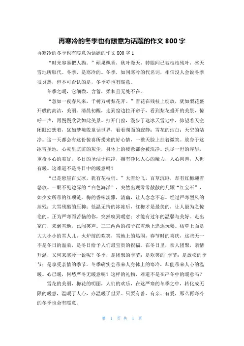 再寒冷的冬季也有暖意为话题的作文800字