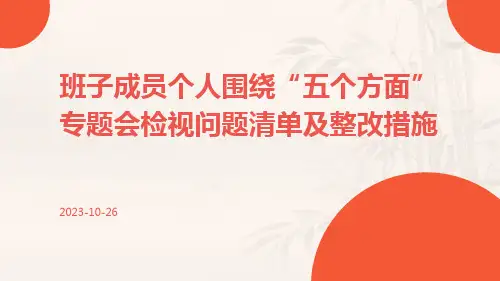 班子成员个人围绕“五个方面”专题会检视问题清单及整改措施