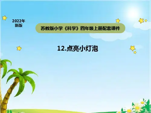 苏教版科学四年级上册4-1点亮小灯泡