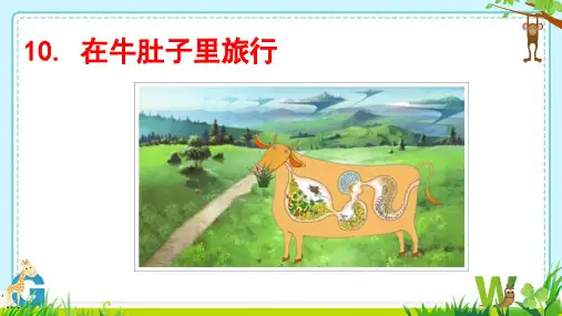 三年级语文上册《在牛肚子里旅行》PPT课件